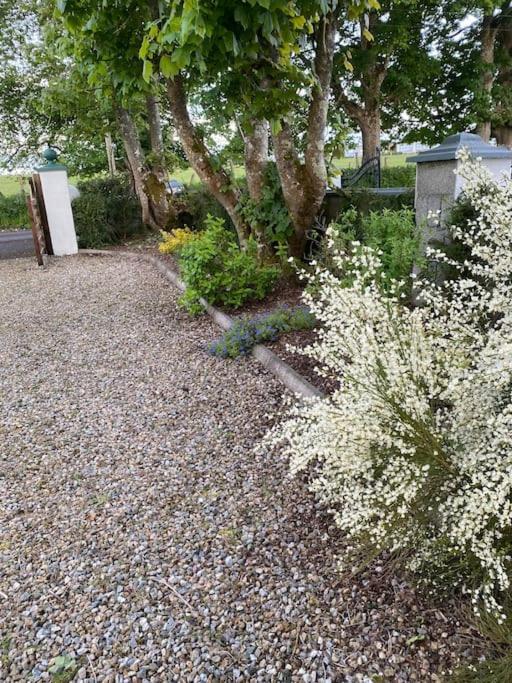 Breathnach Cottage Annex Knockleagha Ballina F26 D7E2 Exteriör bild