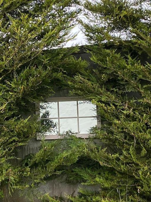Breathnach Cottage Annex Knockleagha Ballina F26 D7E2 Exteriör bild